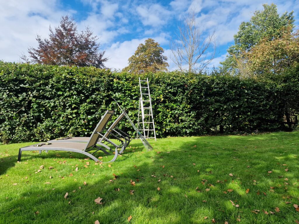 Hedge maintenance