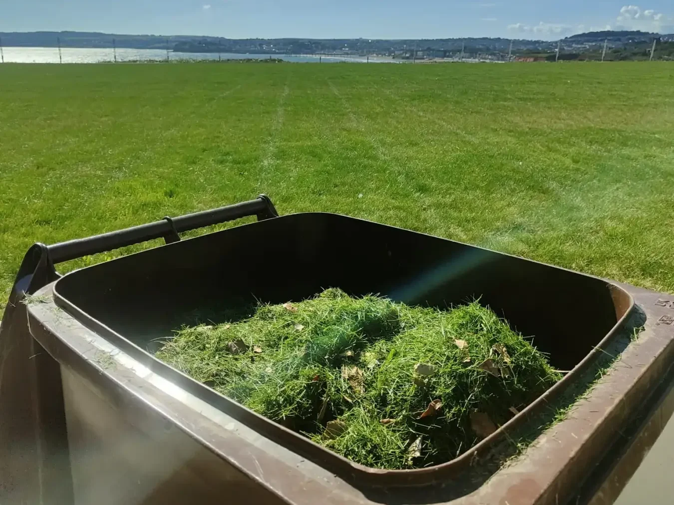 Garden Waste