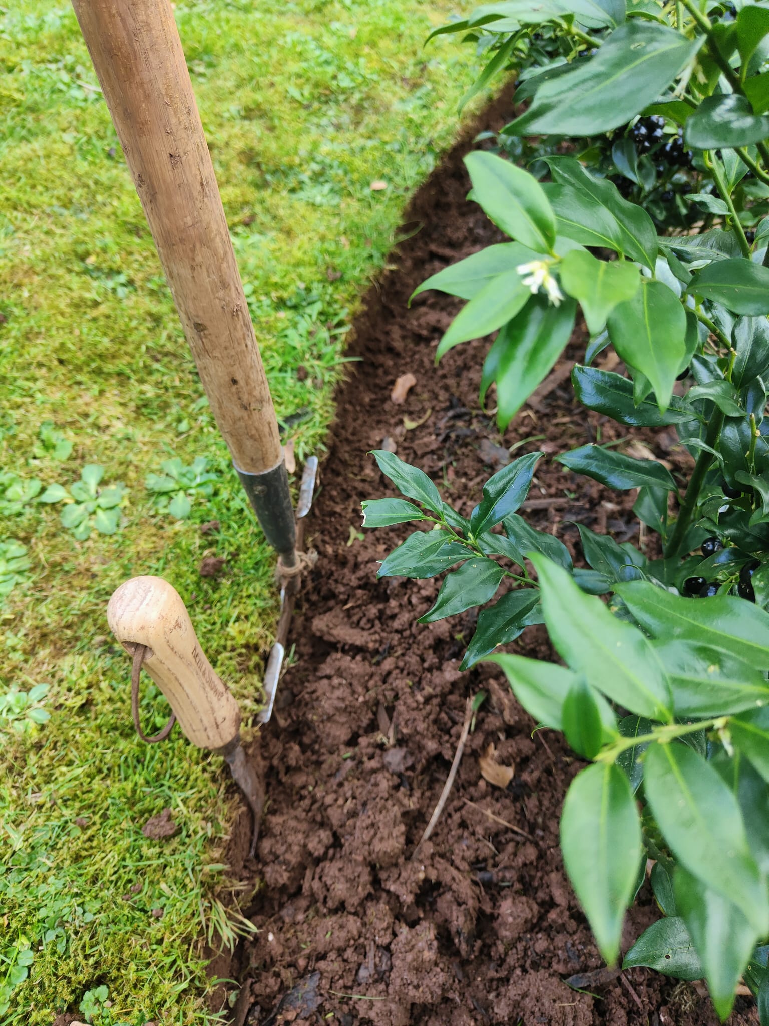 Need Help in Your Garden? Ask The Right Expert Rather Than Learning How