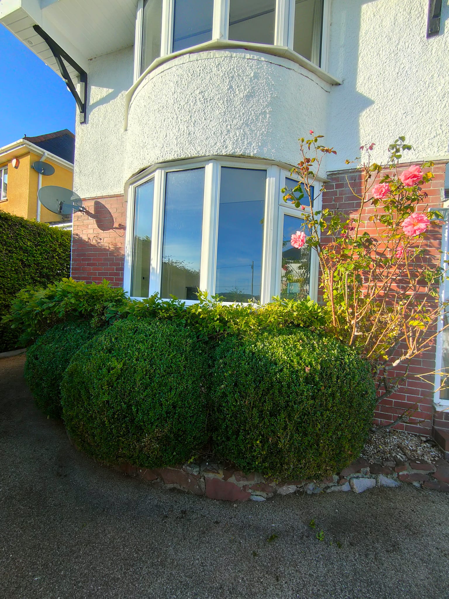 The Best Way to Keep Your Rental Property Garden Low-Maintenance